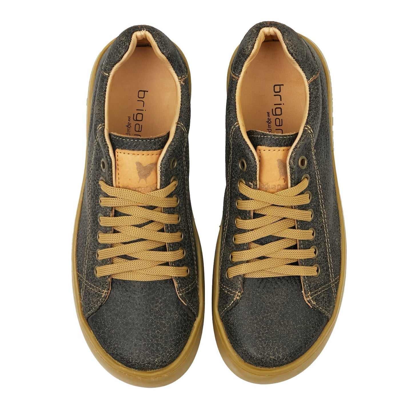 ZAPATILLA TANGO MARRON